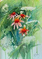 Lace, Coneflowers, 16 inches by 12 inches